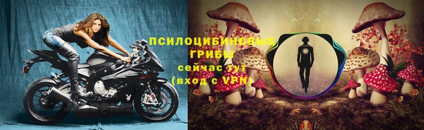 каннабис Арсеньев