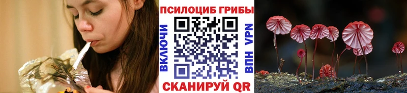 где продают   мориарти клад  Галлюциногенные грибы MAGIC MUSHROOMS  Катайск 